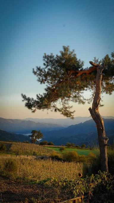 Casa Fonte Fria Villa ปิโตเอส ดาส ชูเนียส ภายนอก รูปภาพ